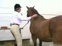 Zoophilia whore strips for a horse